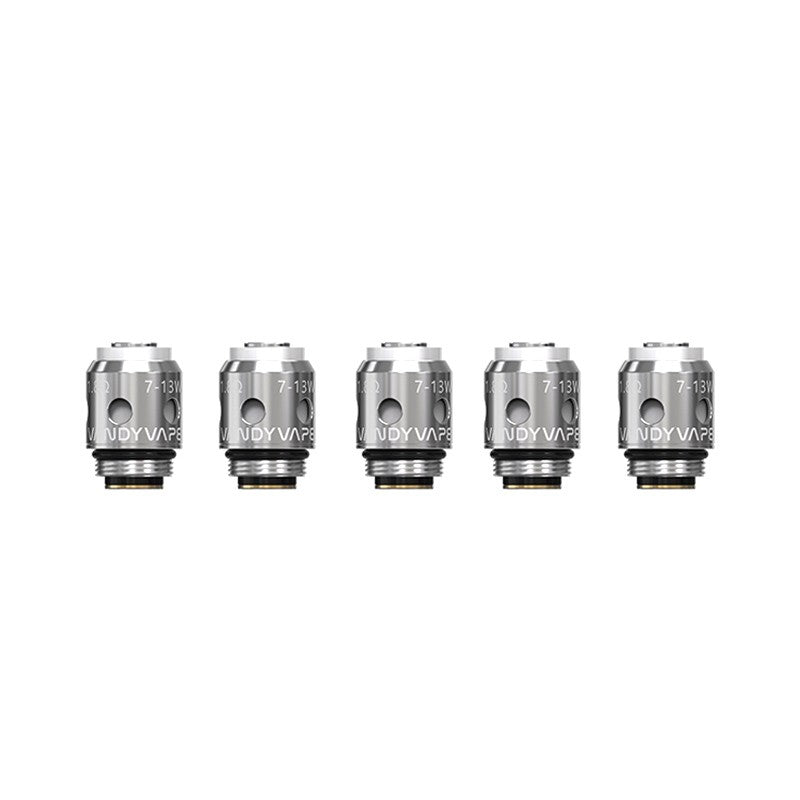VadyVape resistenza per Berserker Kit - 5pz