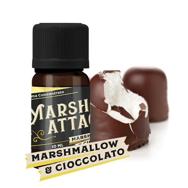 Vaporart Aroma Marsh Attack - 10ml